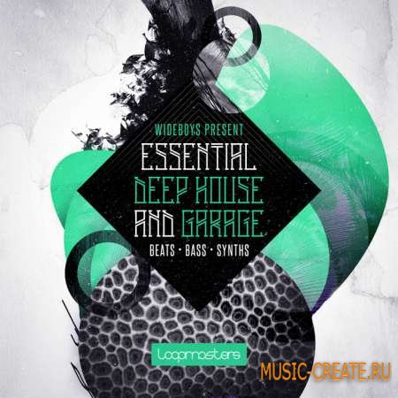 Loopmasters - Wideboys: Deep House and Garage (MULTiFORMAT) - сэмплы Deep House, Garage
