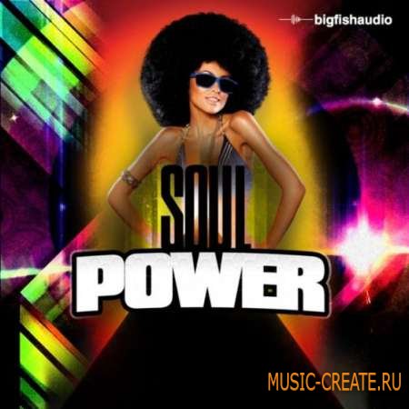 Big Fish Audio - Soul Power (MULTIFORMAT) - сэмплы Soul Big Fish Audio - Soul Power (MULTIFORMAT) - сэмплы Soul
