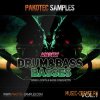Pakotec Samples - Angry D&B Basses Vol.1 (WAV AiFF REX) - сэмплы Drum & Bass, Drumstep Pakotec Samples - Angry D&B Basses Vol.1 (WAV AiFF REX) - сэмплы Drum & Bass, Drumstep