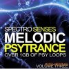 Ronei Music - Spectro Senses Melodic Psytrance Loops Vol 3 (WAV) - сэмплы Psychedelic Trance Ronei Music - Spectro Senses Melodic Psytrance Loops Vol 3 (WAV) - сэмплы Psychedelic Trance