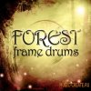Impact Soundworks - Forest Frame Drums (KONTAKT) - библиотека звуков перкуссионных барабанов Impact Soundworks - Forest Frame Drums (KONTAKT) - библиотека звуков перкуссионных барабанов
