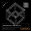 Riemann Kollektion - Riemann Dark Techno Basslines (WAV) - сэмплы Techno