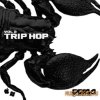 WaaSoundLab - Trip Hop Vol.2 (MULTiFORMAT) - сэмплы Trip Hop WaaSoundLab - Trip Hop Vol.2 (MULTiFORMAT) - сэмплы Trip Hop