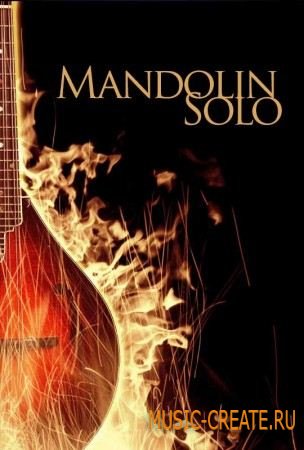 8Dio - Mandolin Solo (KONTAKT) - библиотека звуков мандолины