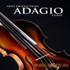 8Dio - Adagio Violas Vol.1 (KONTAKT) - библиотека звуков альтов 8Dio - Adagio Violas Vol.1 (KONTAKT) - библиотека звуков альтов