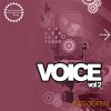 Industrial Strength Records - Voice 2 (WAV MIDI) - вокальные сэмплы Industrial Strength Records - Voice 2 (WAV MIDI) - вокальные сэмплы