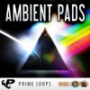 Prime Loops - Ambient Pads (MULTiFORMAT) - сэмплы Ambient, House, Chillout, New Age Prime Loops - Ambient Pads (MULTiFORMAT) - сэмплы Ambient, House, Chillout, New Age