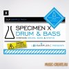 Loopmasters - DLR Specimen X: Drum & Bass (MULTiFORMAT) - сэмплы Drum And Bass Loopmasters - DLR Specimen X: Drum & Bass (MULTiFORMAT) - сэмплы Drum And Bass