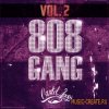 Cartel Loops - 808 Gang Vol 2 (WAV MIDI) - сэмплы Trap Cartel Loops - 808 Gang Vol 2 (WAV MIDI) - сэмплы Trap