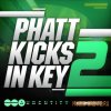 Audentity - Phatt Kicks In Key 2 (WAV) - сэмплы бас-барабанов