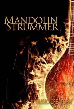 8Dio - Mandolin Strummer (KONTAKT) - библиотека звуков мандолины