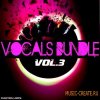 Function Loops - Vocals Bundle Vol.3 (WAV MIDI) - вокальные сэмплы Function Loops - Vocals Bundle Vol.3 (WAV MIDI) - вокальные сэмплы