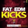 Decibel Sounds - Fat EDM Kicks Vol 1 (WAV) - сэмплы бас-барабанов Decibel Sounds - Fat EDM Kicks Vol 1 (WAV) - сэмплы бас-барабанов