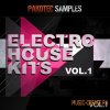 Pakotec Samples - Electro House Kits Vol 1 (WAV) - сэмплы Electro House Pakotec Samples - Electro House Kits Vol 1 (WAV) - сэмплы Electro House