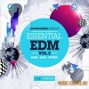 Loopmasters - Essential EDM Vol.2 (WAV MIDI Sampler Patches) - сэмплы EDM