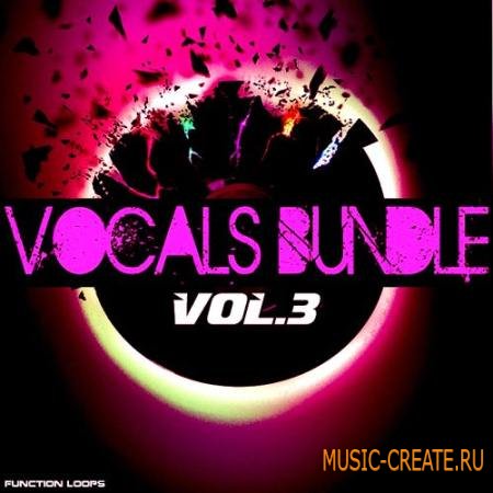 Function Loops - Vocals Bundle Vol.3 (WAV MIDI) - вокальные сэмплы