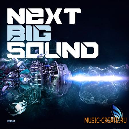 Big Sounds - Next Big Sound (WAV MIDI) - сэмплы EDM