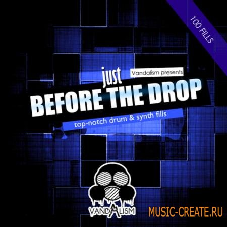 Vandalism - Just Before The Drop (WAV) - сэмплы House, Progressive, Minimal, Deep House Vandalism - Just Before The Drop (WAV) - сэмплы House, Progressive, Minimal, Deep House