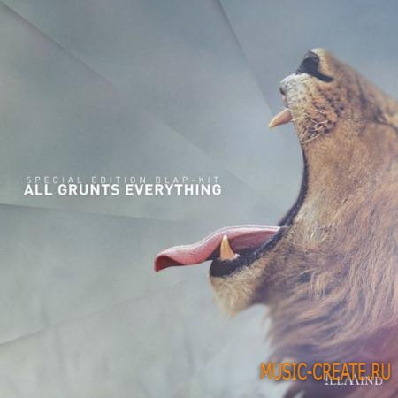 Illmind - Special Limited Edition: All Grunts Everything (WAV) - вокальные сэмплы Illmind - Special Limited Edition: All Grunts Everything (WAV) - вокальные сэмплы