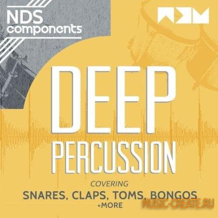 No Dough Samples - NDS Components Deep Percussion (WAV) - сэмплы перкуссии No Dough Samples - NDS Components Deep Percussion (WAV) - сэмплы перкуссии