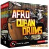 Future Loops - Afro Cuban Drums (WAV) - сэмплы ударных для Jazz, Afro-Cuban, Latin Future Loops - Afro Cuban Drums (WAV) - сэмплы ударных для Jazz, Afro-Cuban, Latin