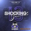 Vandalism - Shocking Sounds 13 (Sylenth presets) Vandalism - Shocking Sounds 13 (Sylenth presets)
