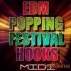 Mainroom Warehouse - EDM Popping Festival Hooks (WAV MiDi FXB FXP) - сэмплы EDM Mainroom Warehouse - EDM Popping Festival Hooks (WAV MiDi FXB FXP) - сэмплы EDM