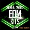 Party Design - Mind Blowing EDM Kits (WAV MiDi) - сэмплы Progressive, House, Electro, Big Room, Dutch