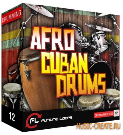 Future Loops - Afro Cuban Drums (WAV REX2) - сэмплы ударных для Jazz, Afro-Cuban, Latin