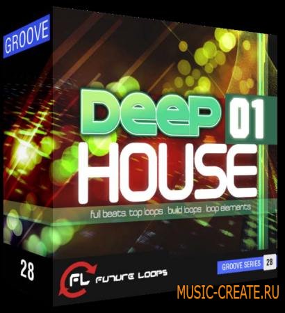 Future Loops - Deep House 01 (WAV REX2) - сэмплы Deep House