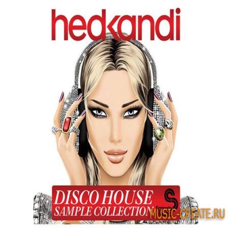 Sample Magic - Hed Kandi Disco House (WAV REX2 AiFF) - сэмплы Disco House