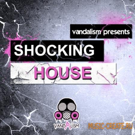 Vandalism - Shocking House (Sylenth presets) Vandalism - Shocking House (Sylenth presets)