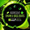 5Pin Media - MIDI Focus: Aggressive Drum and Bass Beats (MULTiFORMAT) - сэмплы Drum and Bass 5Pin Media - MIDI Focus: Aggressive Drum and Bass Beats (MULTiFORMAT) - сэмплы Drum and Bass
