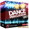 Future Loops - Dance Percussion 01 (WAV REX2) - сэмплы перкуссии Future Loops - Dance Percussion 01 (WAV REX2) - сэмплы перкуссии