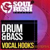 Soul Rush Records - Drum and Bass Vocal Hooks (WAV) - сэмплы вокалов Soul Rush Records - Drum and Bass Vocal Hooks (WAV) - сэмплы вокалов