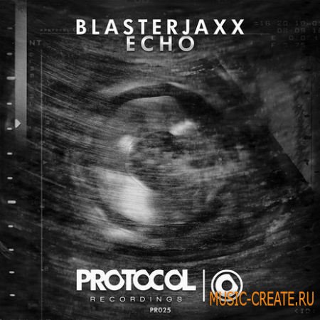 Blasterjaxx - Echo (FLP + Samples)
