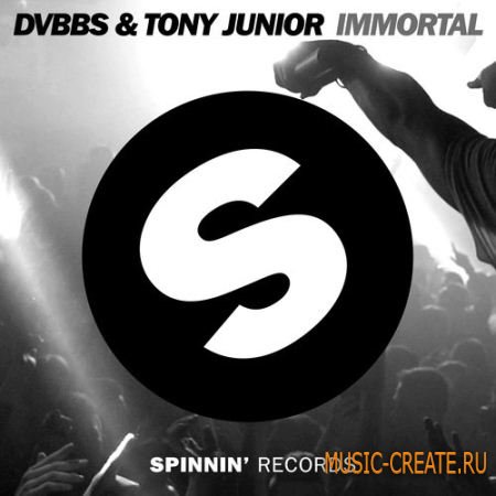 DVBBS & Tony Junior - Immortal (FLP + Samples)