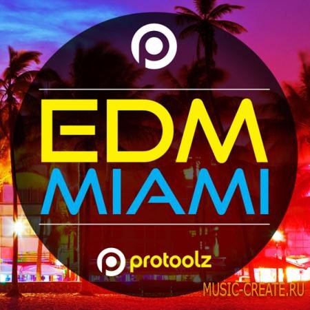 Protoolz - EDM Miami (WAV) - сэмплы EDM