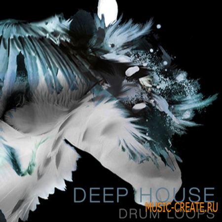 SPF Samplers - Deep House Drum Loops (WAV) - сэмплы ударных