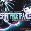 Function Loops - Spirit Progressive Trance and Psy (WAV) - сэмплы Trance Function Loops - Spirit Progressive Trance and Psy (WAV) - сэмплы Trance