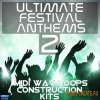 Mainroom Warehouse - Ultimate Festival Anthems 2 (WAV MIDI) - сэмплы EDM