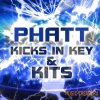 Mainstream Sounds - Phatt Kicks In Key And Kits (WAV MIDI) - сэмплы бас-барабанов Mainstream Sounds - Phatt Kicks In Key And Kits (WAV MIDI) - сэмплы бас-барабанов