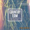 Producer Loops - Country EDM Vol 1 (MULTiFORMAT) - сэмплы EDM Producer Loops - Country EDM Vol 1 (MULTiFORMAT) - сэмплы EDM