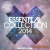Samplestar - Essential Collection 2014 (WAV MIDI) - сэмплы Progressive, Electro House Samplestar - Essential Collection 2014 (WAV MIDI) - сэмплы Progressive, Electro House