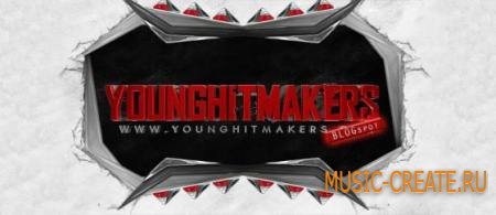 YoungHitmakers - Sylenth Soundbank Vol.1-3 (FXB)