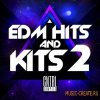 CNTRL Samples - EDM Hits and Kits 2 (MULTiFORMAT) - сэмплы ударных CNTRL Samples - EDM Hits and Kits 2 (MULTiFORMAT) - сэмплы ударных