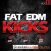 Decibel Sounds - Fat EDM Kicks Vol.3 (WAV) - сэмплы бас-барабанов Decibel Sounds - Fat EDM Kicks Vol.3 (WAV) - сэмплы бас-барабанов
