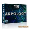 Sample Logic - Arpology v.1.2 (KONTAKT) - виртуальный инструмент Sample Logic - Arpology v.1.2 (KONTAKT) - виртуальный инструмент