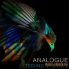 Spf Samplers - Analogue Techno Synth Loops 2 (WAV) - сэмплы Techno Spf Samplers - Analogue Techno Synth Loops 2 (WAV) - сэмплы Techno
