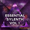 Triad Sounds - Essential Sylenth Vol.1 (WAV MiDi FXB) - сэмплы EDM Triad Sounds - Essential Sylenth Vol.1 (WAV MiDi FXB) - сэмплы EDM